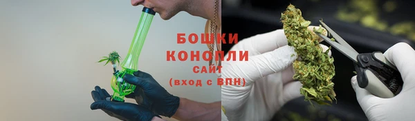 ПСИЛОЦИБИНОВЫЕ ГРИБЫ Михайловск