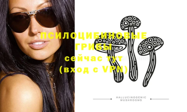 бошки Мегион