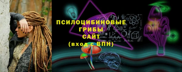 бошки Мегион