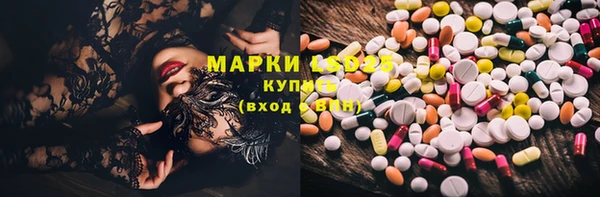 ПСИЛОЦИБИНОВЫЕ ГРИБЫ Медногорск